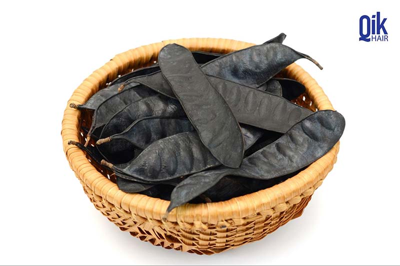 bồ kết