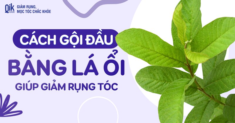 4 bước gội đầu bằng lá ổi giúp giảm rụng tóc dễ làm tại nhà