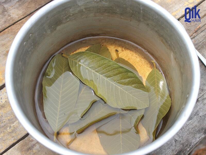 nấu nước lá ổi gội đầu